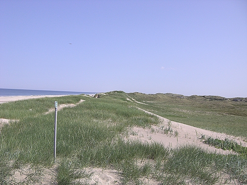 4 dne am strand.jpg